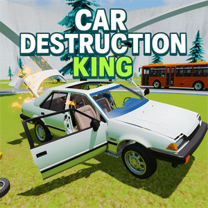 Car-Destruction-King